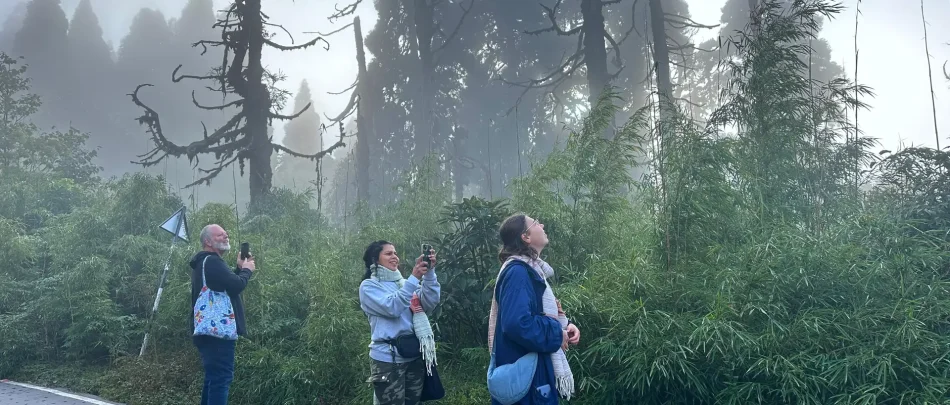 426713133294ec0aa8c44a038608dc4db2f88791cd3f1a1519b66bb00b2913d1