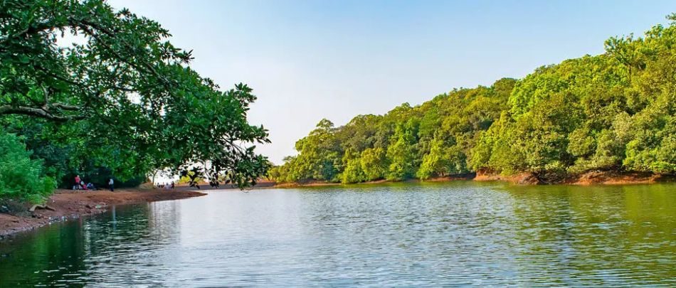 Charlotte Lake, Matheran