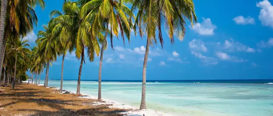 Lakshadweep island (7)