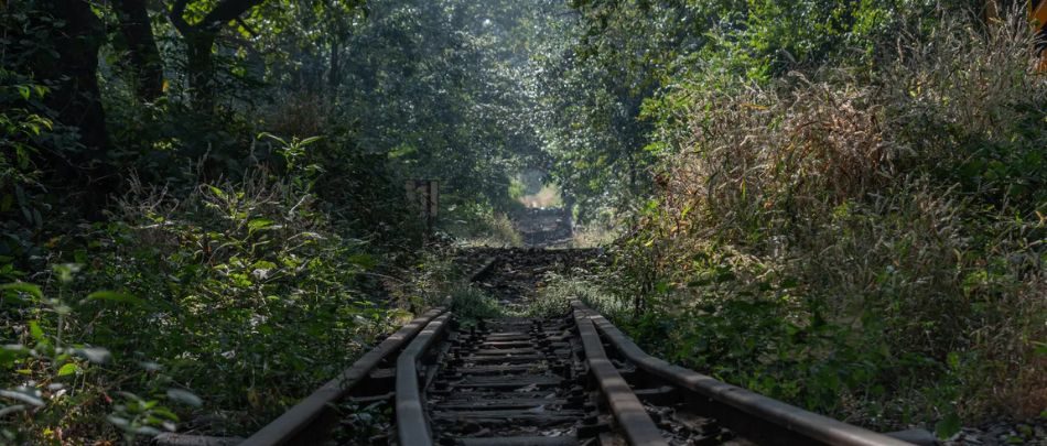 Neral-Matheran Road, Matheran