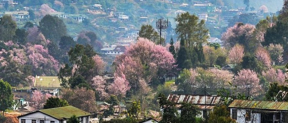 Northeast (Meghalaya)