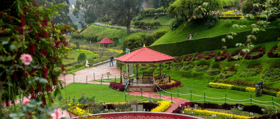 Ooty (1)