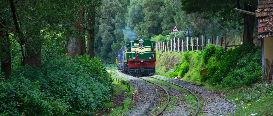 Ooty (4)