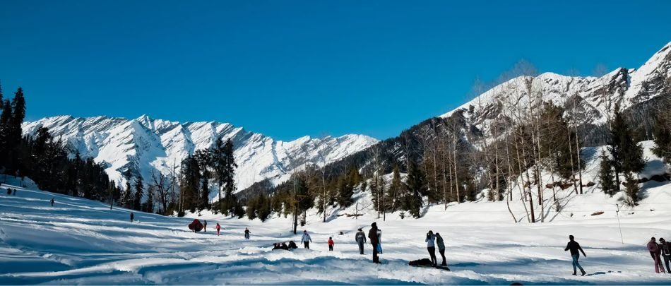 SHIMLA3 (1)