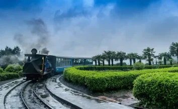 darjeeling_11zon
