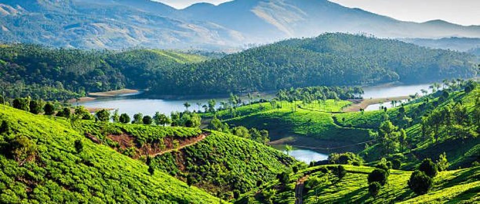 Tea plantations and Muthirappuzhayar River in hills near Munnar, Kerala, India
