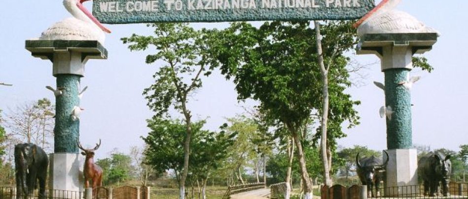 ____________________________